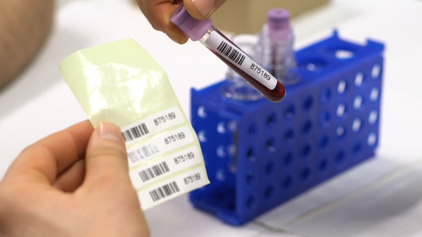 Blood tubes with identification markers